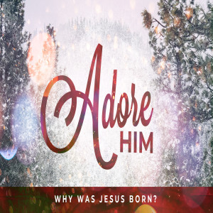 Adore Him: Why was Jesus born?