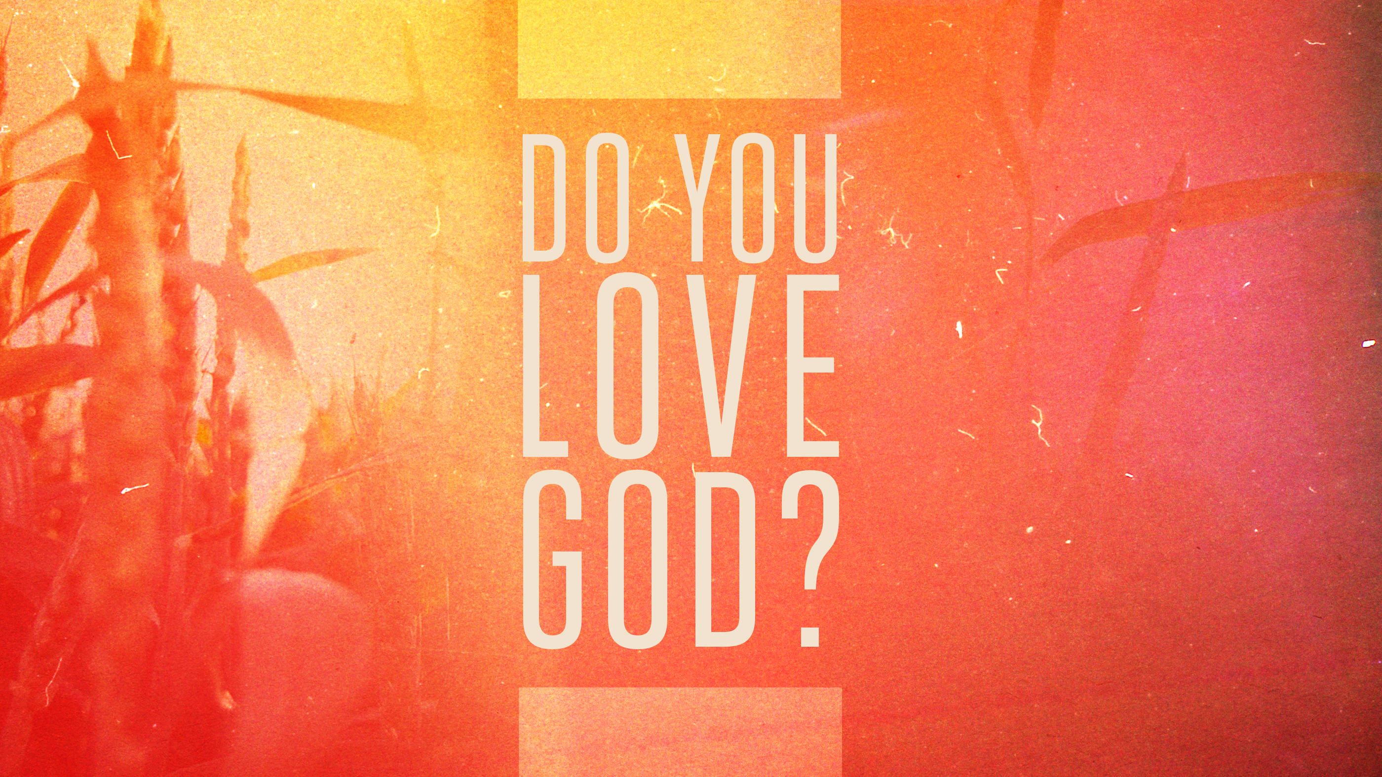 Do You LOVE God?