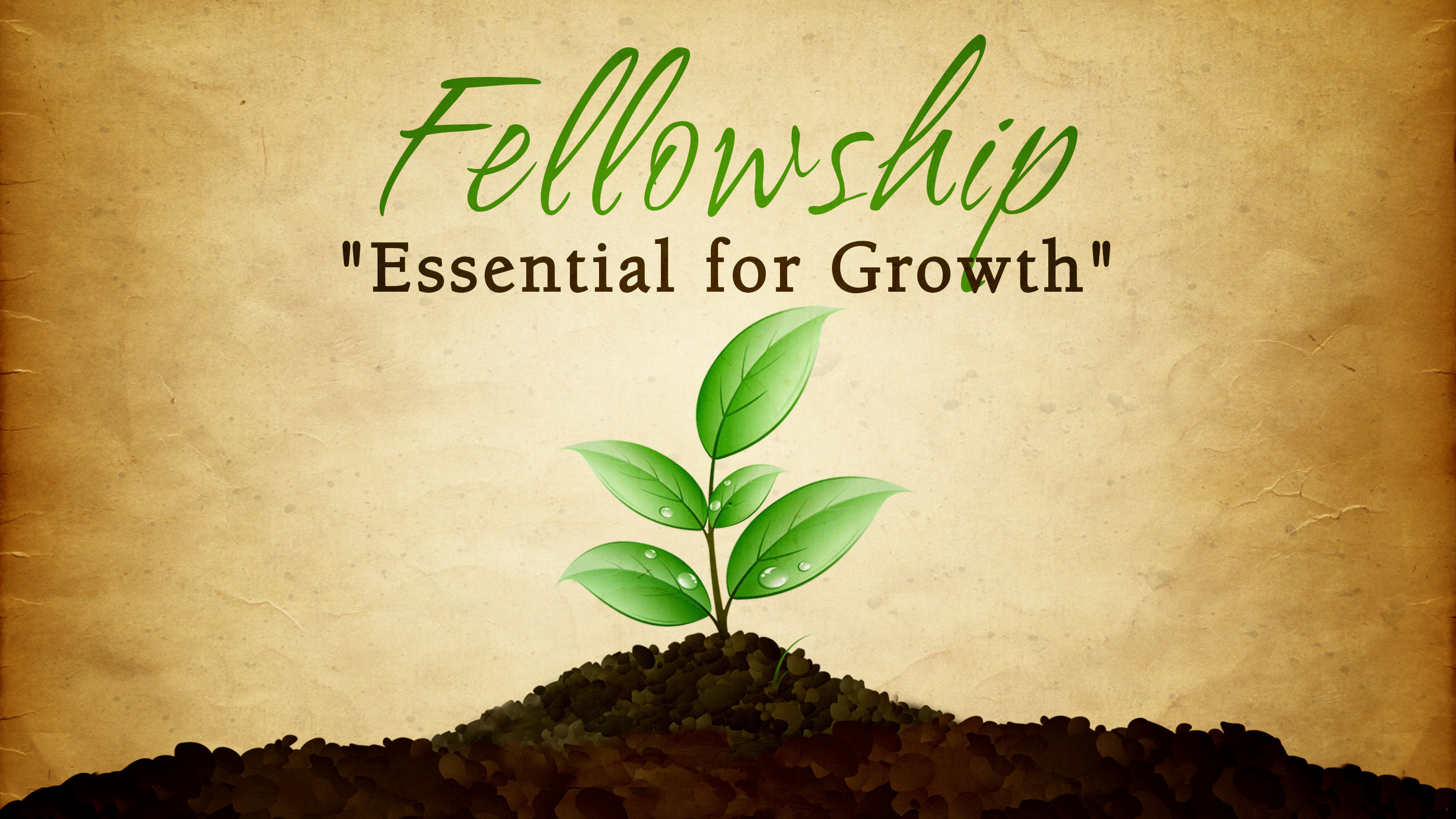 Fellowship: Essential for Growth - Part 1