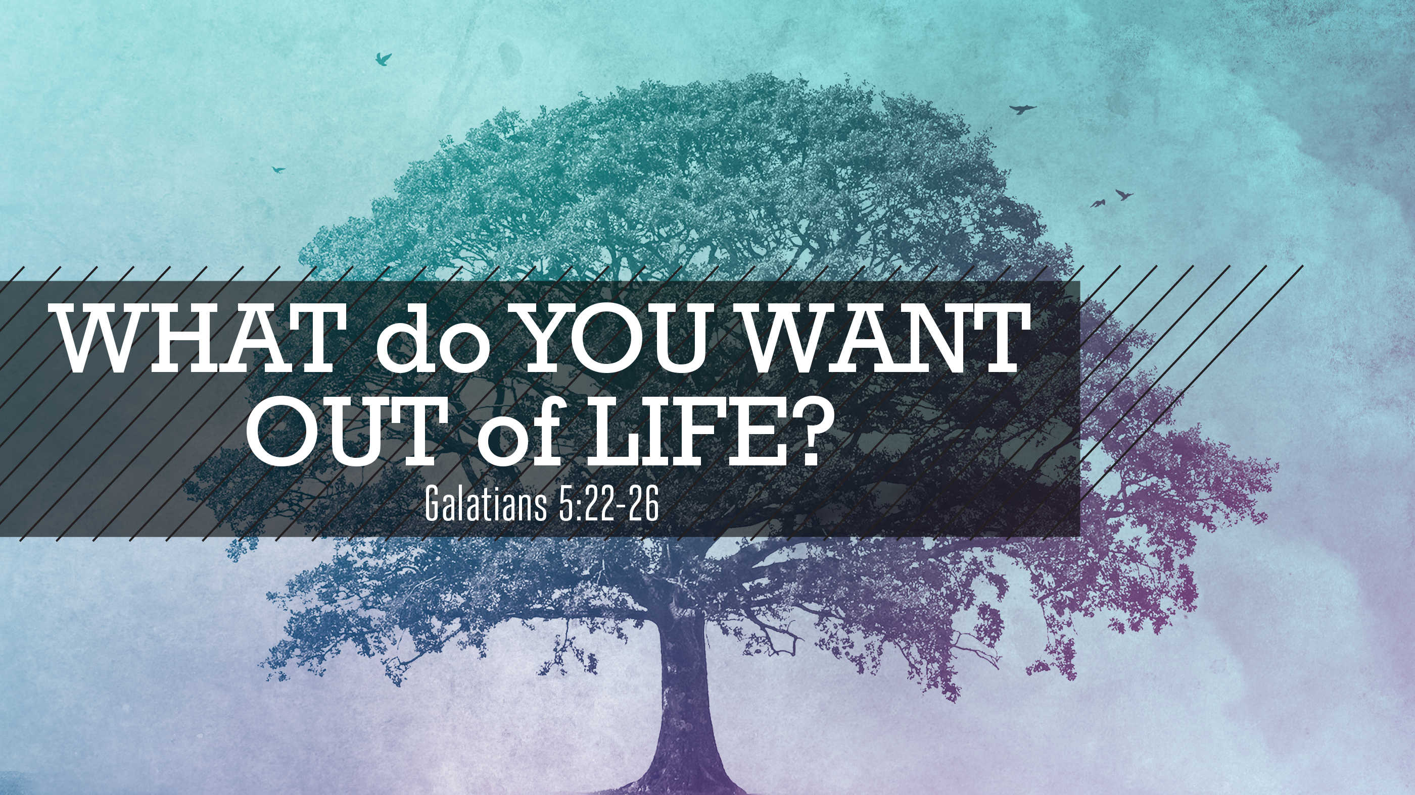 What do You Want Out of Life?