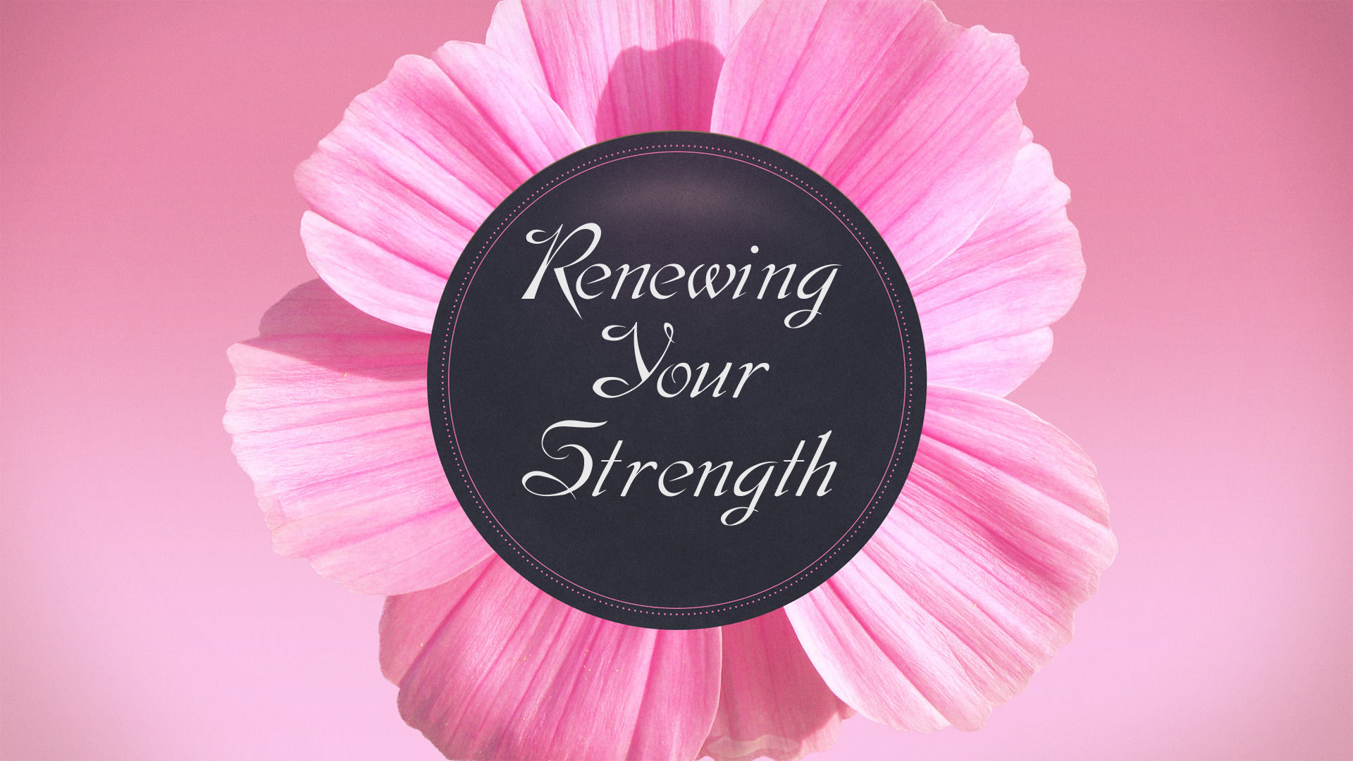 Renewing Your Strength