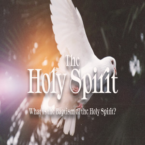 The Holy Spirit :: What is the Baptism of the Holy Spirit?