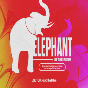 Elephant in the Room --- LGBTQIA+ and the Bible