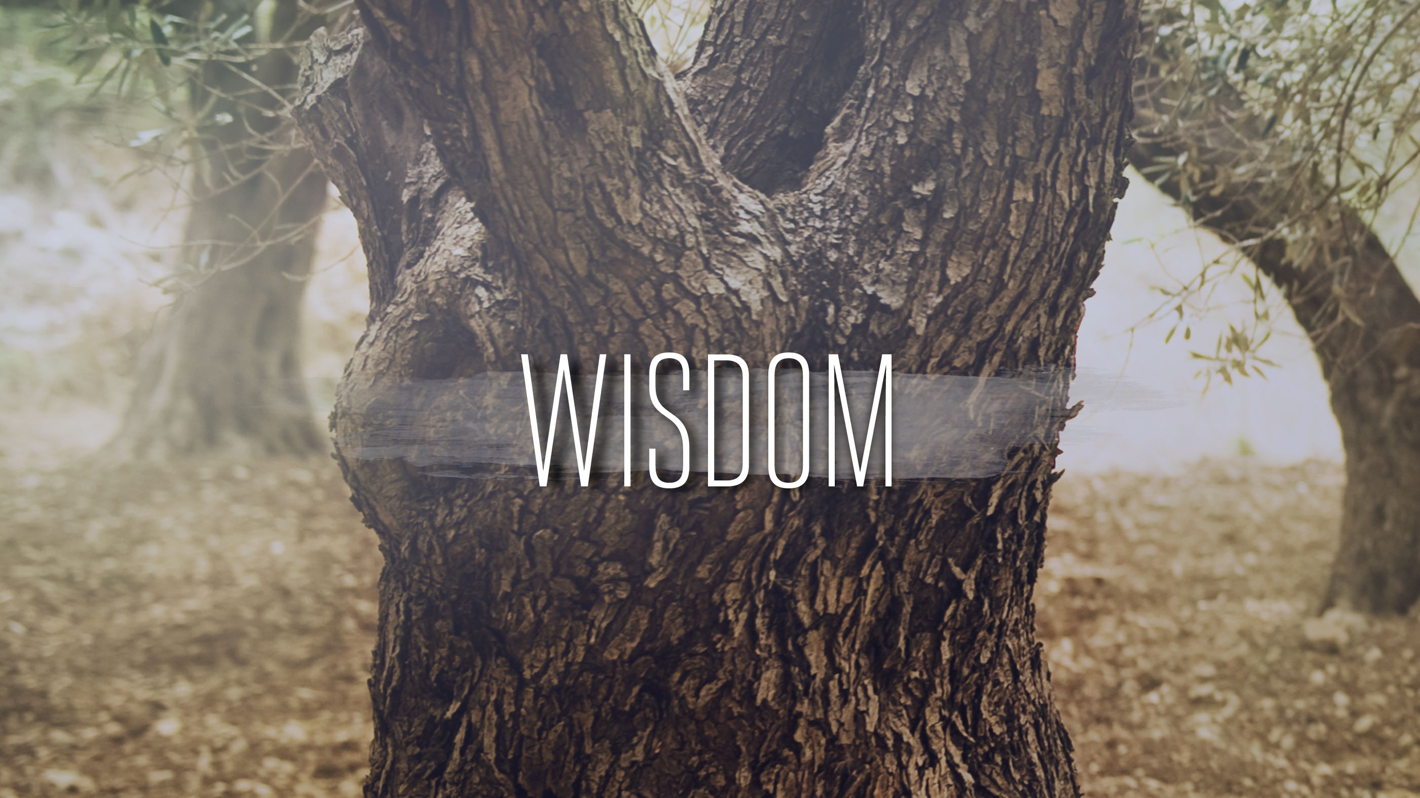 Wisdom