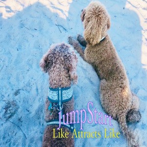 JumpStart - Like Attracts Like