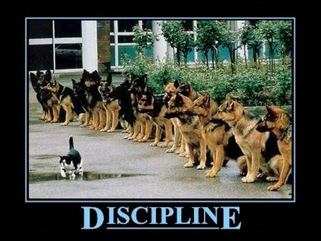 Discipline (Dharma Talk)