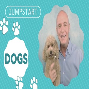 JumpStart - Dogs