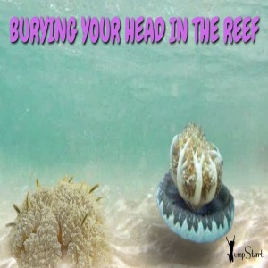 JumpStart - Burying Your Head In The Reef