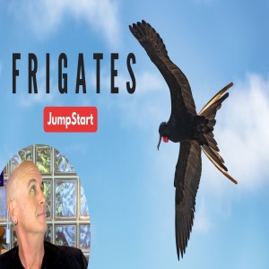 JumpStart - Frigates