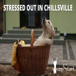 JumpStart - Stressed Out in Chillsville