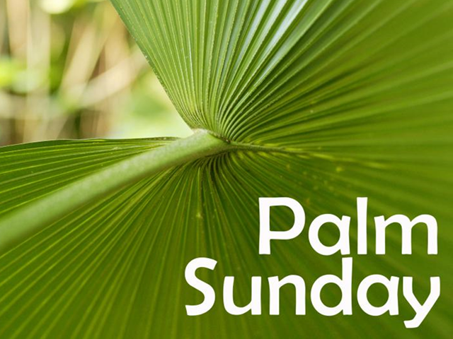 Palm Sunday (Dharma Talk)