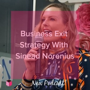Business Exit Strategy With Sinead Norenius