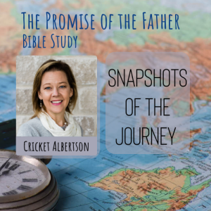 Snapshots of the Journey - Cricket Albertson