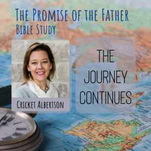 The Journey Continues - Cricket Albertson