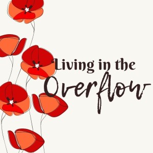 Living in the Overflow/ Cricket Albertson