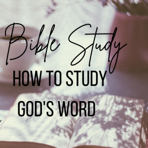 Homiletics / Carolyn Johnson