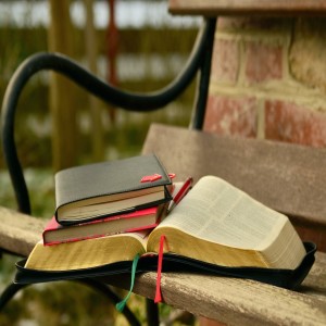 Learning to Study Scripture by Fiona Richardson