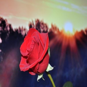 Hidden Secrets & High Places Sacred Fellowship
