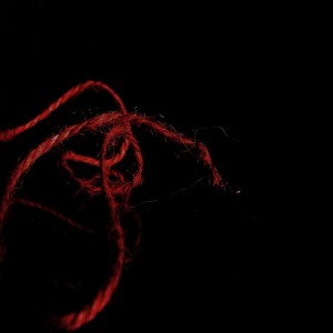 The Scarlet Cord-God‘s Covenant with Families Beth Coppedge Joshua Bible study