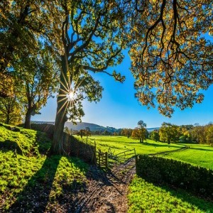 Go To Jesus Outside the Gate Beth Coppedge