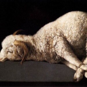 Take a Lamb
