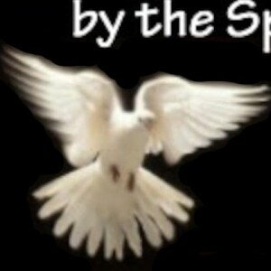 Where the Holy Spirit Takes Us
