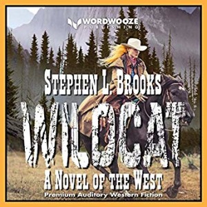 Wildcat: A Novel of the West by Stephen L. Brooks - Audiobook Sample  Available Audible & Amazon