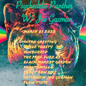 Psychedelic Panther with Joe Guzman