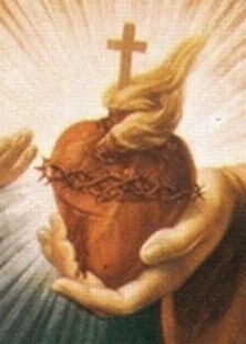 6/25/17: 12th Sunday in Ordinary Time: Showing and Offering our Hearts