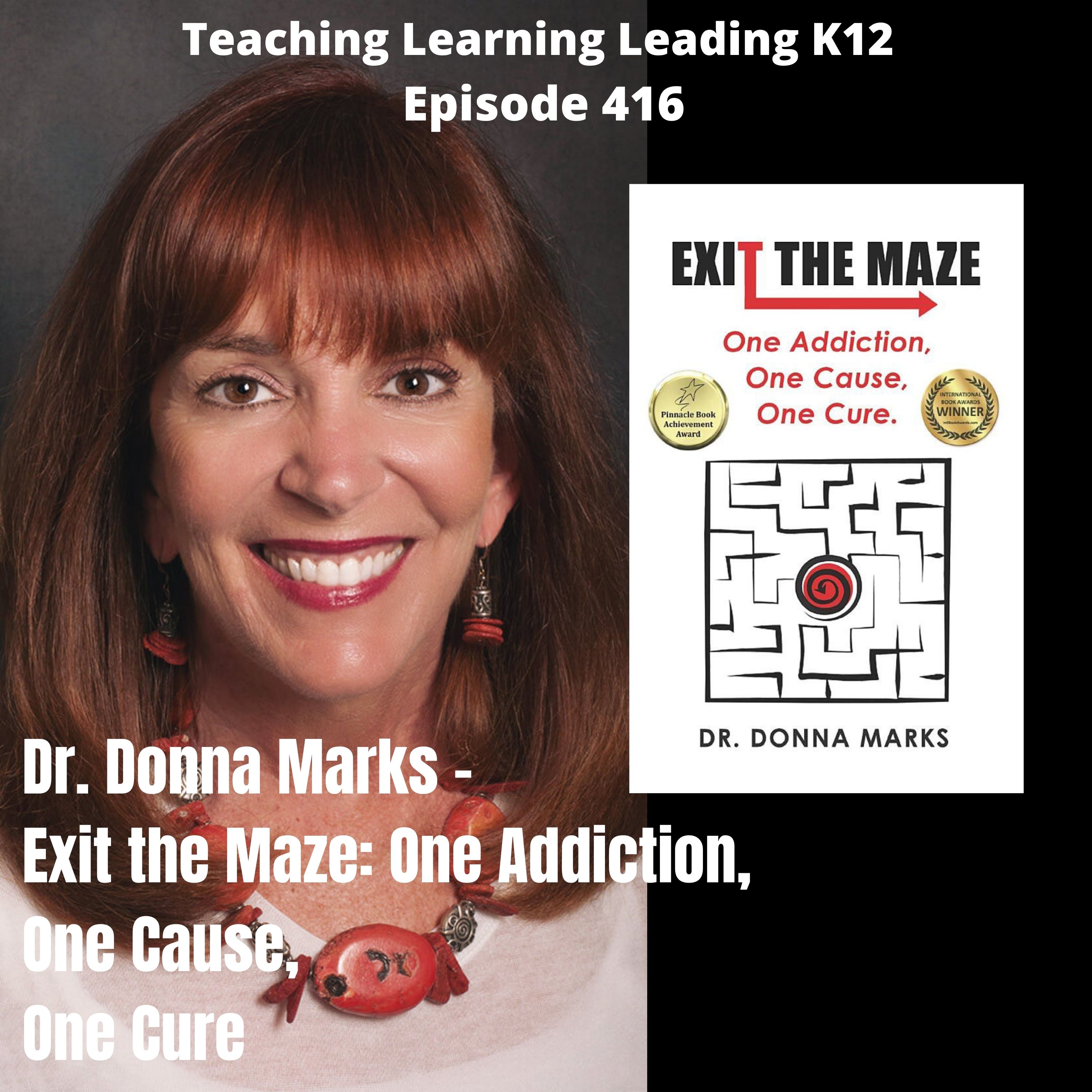 Donna Marks - Exit the Maze: One Addiction, One Cause, One Cure - 416 Image