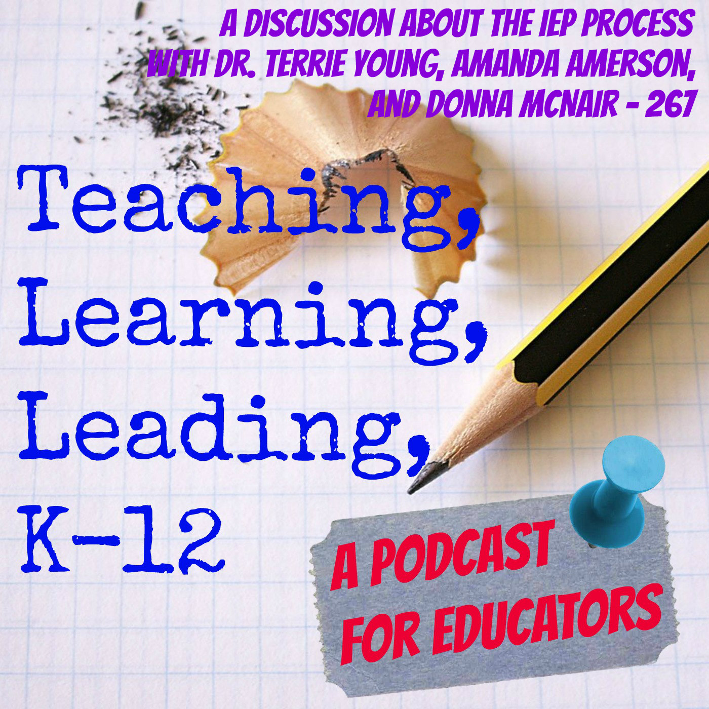 The IEP Process with Dr. Terrie Young, Amanda Amerson, & Donna McNair - 267