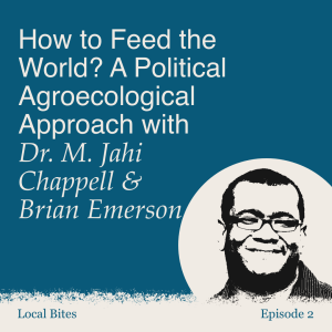 How to Feed the World? A Political Agroecological Approach