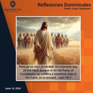 Reflexiones Dominicales Junio 16