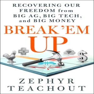 Book Review of Break'Em Up by Zephyr Teachout