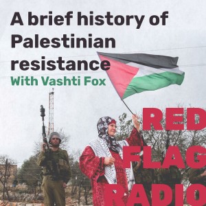 A brief history of Palestinian resistance with Vashti Fox