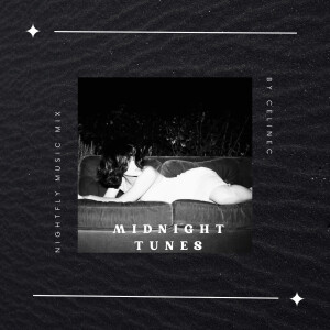 Midnight Tunes (Late Mix)