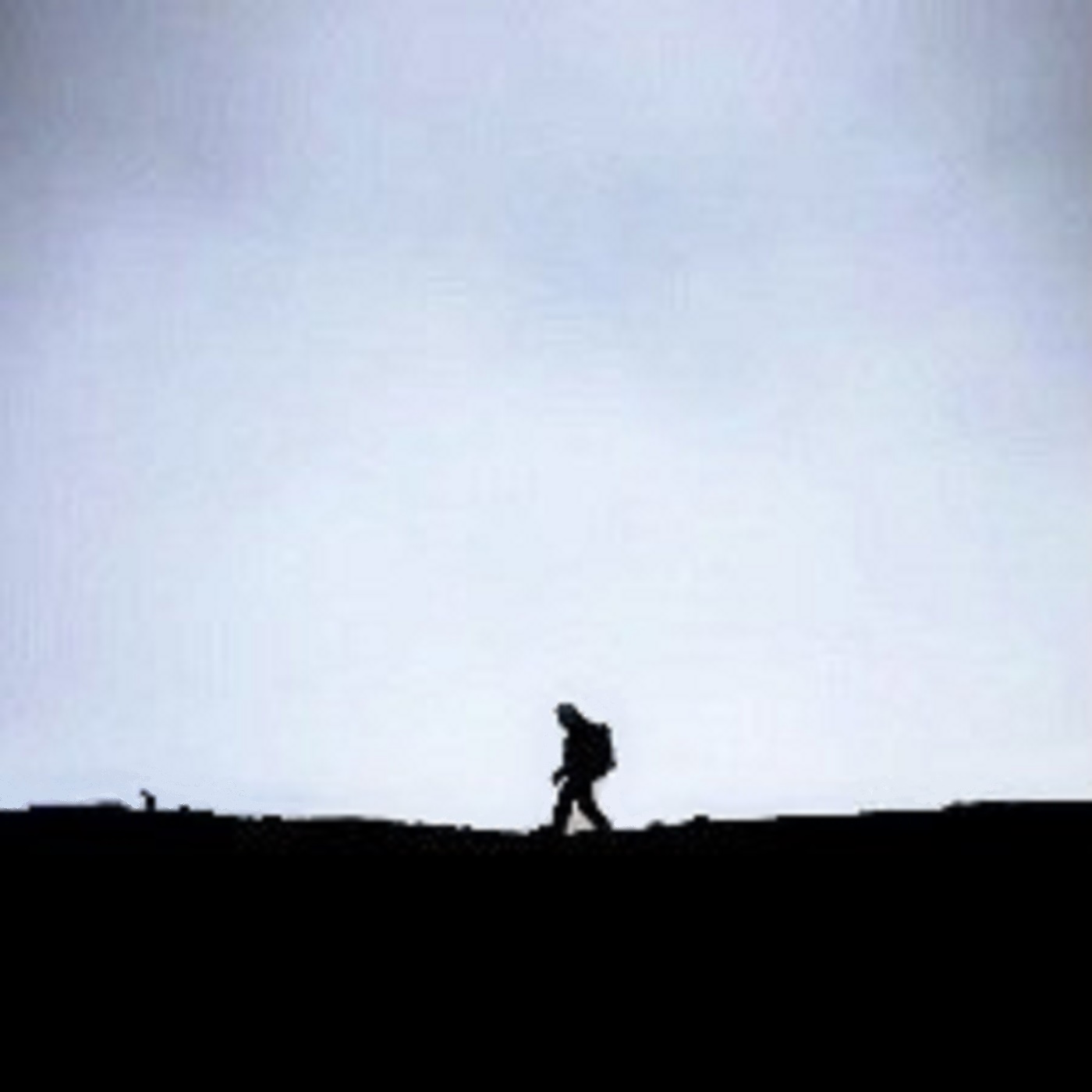 Nightfly Music Mix