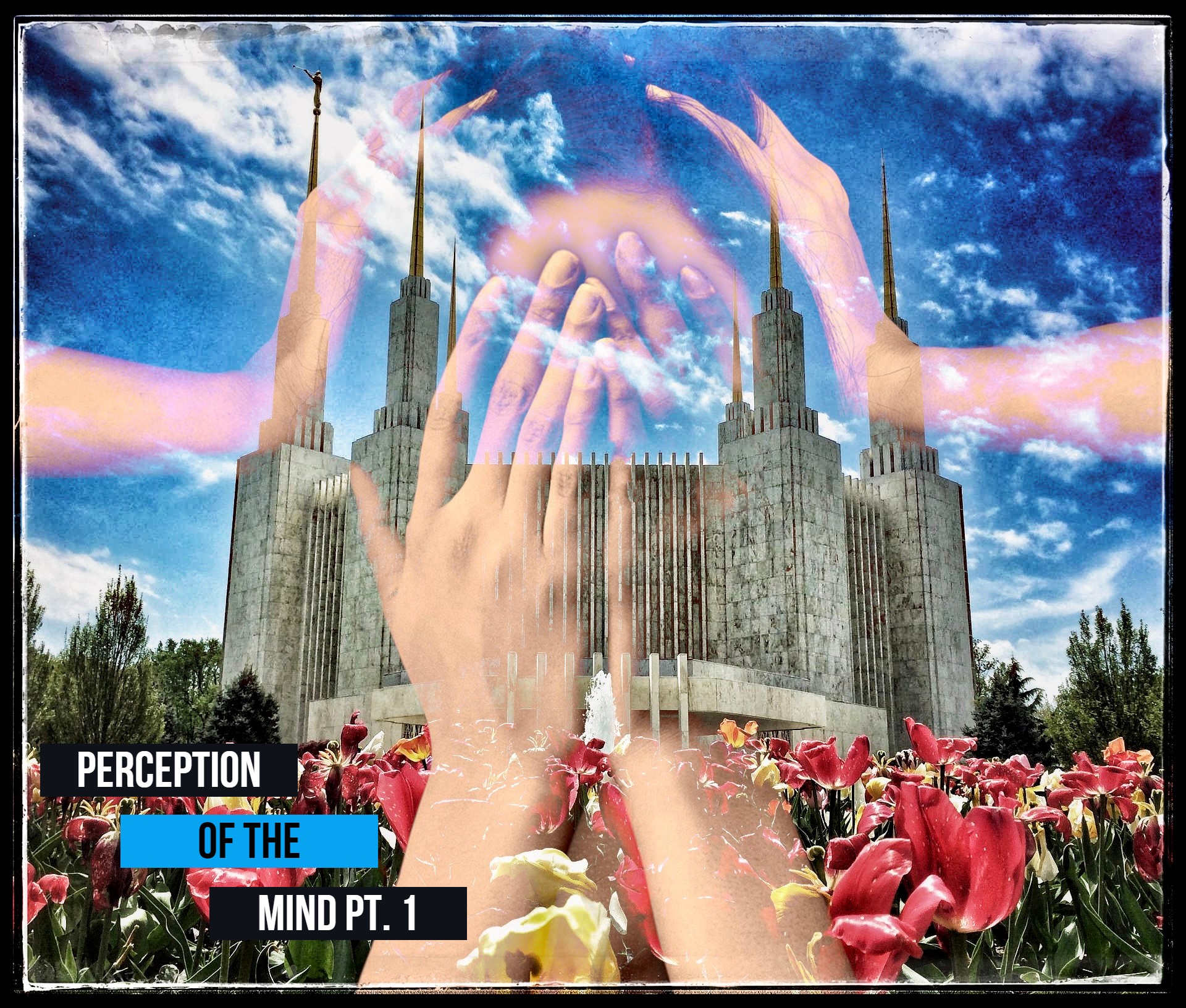 Ep. 116 Perception of The Mind Pt. 1
