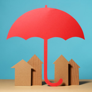 34. Insurance Basics for Young Professionials