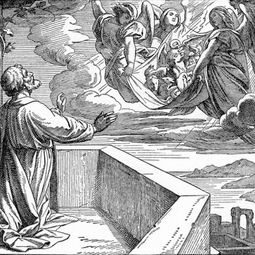 Freedom and Power (Acts 11:1-11