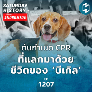 MM Saturday History EP.1207 | ต้นกำเนิด CPR ที่แลกมาด้วยชีวิตของ ‘บีเกิล’