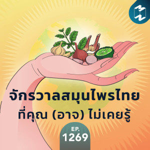 MM EP.1269 | จักรวาลสมุนไพรไทยที่คุณ (อาจ) ไม่เคยรู้