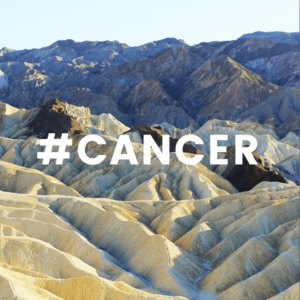 MM385 Cancer Ecosystem