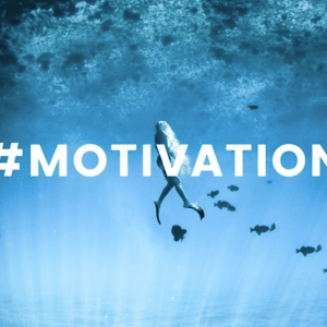 MM431 Motivation ในการทำงานมาจากไหน