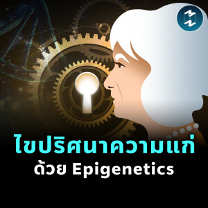 Epigenetics กุญแจไขอายุชีวภาพและสุขภาพในอนาคต | MM EP.2456
