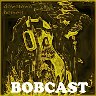Bobcast 35 -- Backstage at DTH Show