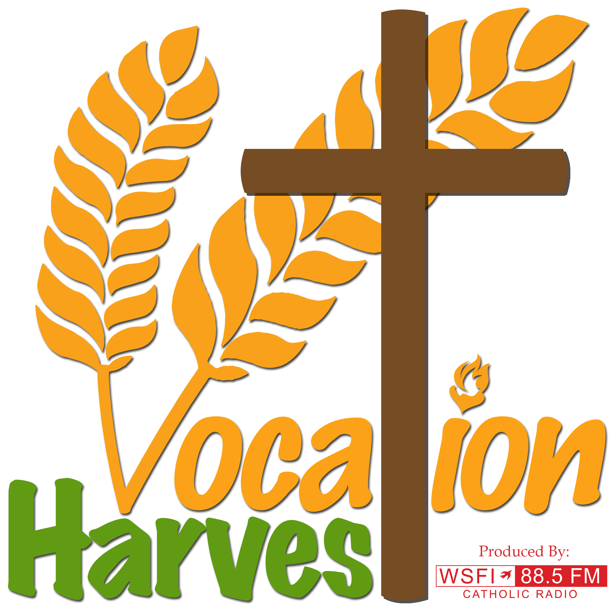 Vocation Harvest: Fr. Hans Flondor, OFM Conv.