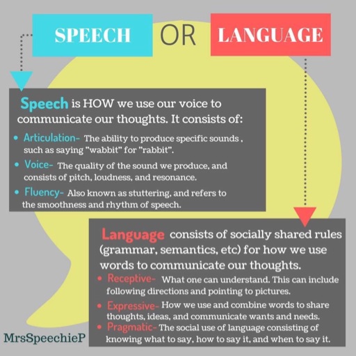 Speech vs Language- This Misconception