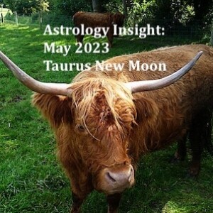 Astrology Insight: May 2023, Taurus New Moon