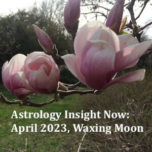 Astrology Insight Now: April 2023, Waxing Moon
